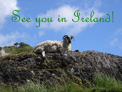 Irland See You