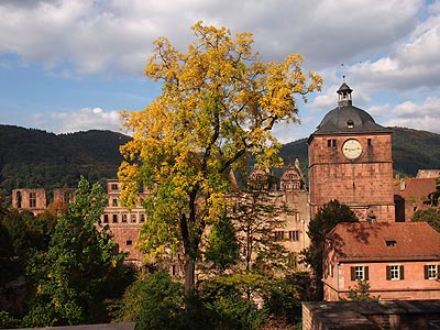 Odenwald Heidelberger Schloss 2