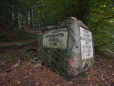 Odenwald Sandstein-Wegweiser Brunnenberg
