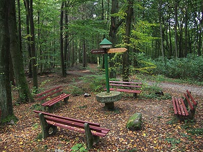 Odenwald Waldesruh