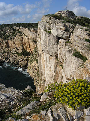 Sardinien Punta del Giglio
