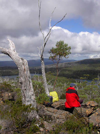 Tasmanien Nationalpark Lake St Clair