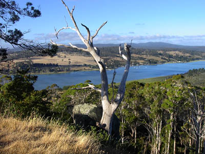 Tasmanien Tamar Valley